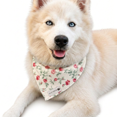 Bandana Rosie